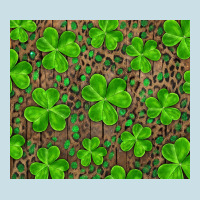 Shamrock And Leopard Ladies Tee | Teevron