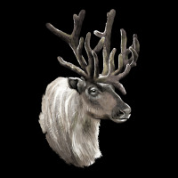 Reindeer Buck Deer Head Heavy Core Tee | Teevron