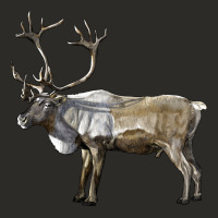 Reindeer Buck Deer Heavy Core Tee | Teevron