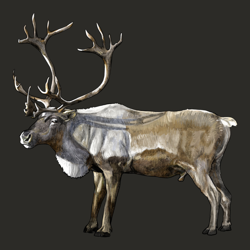 Reindeer Buck Deer Heavy Core Tee by LillyAllenDesigns | Teevron