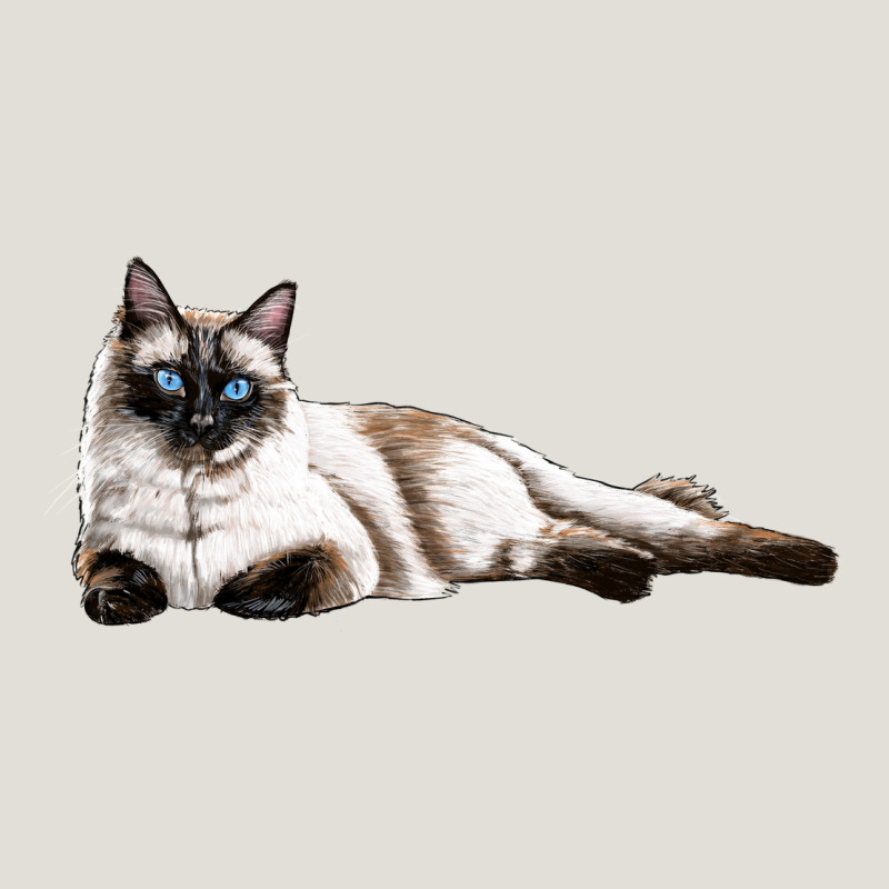 Siamese Heavy Core Tee by LillyAllenDesigns | Teevron