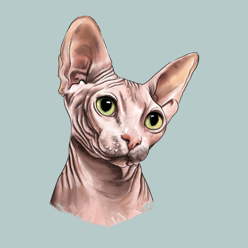 Sphynx Cat Heavy Core Tee by LillyAllenDesigns | Teevron