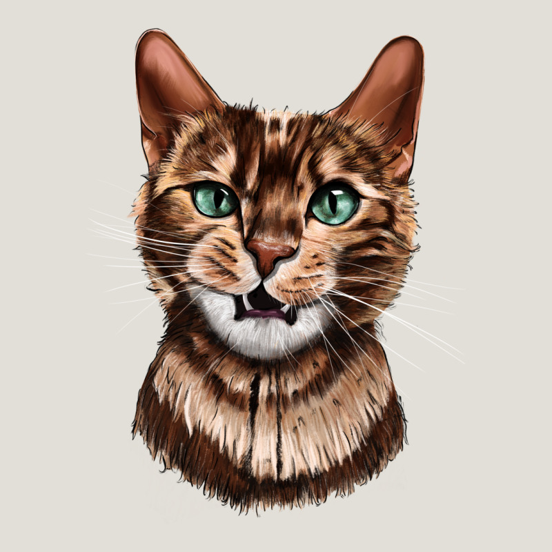 Bengal Cat Face Heavy Core Tee by LillyAllenDesigns | Teevron