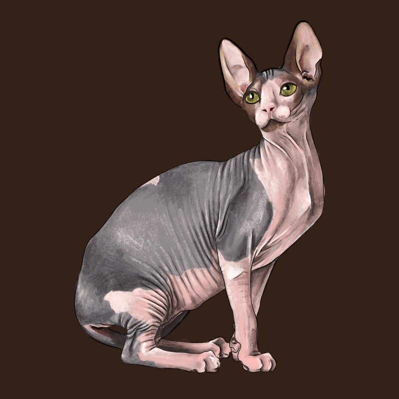 Sphynx Cat Heavy Core Tee by LillyAllenDesigns | Teevron