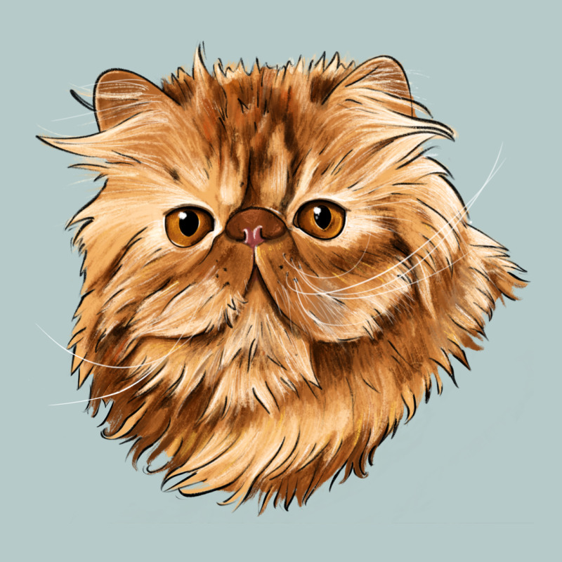 Persian Cat Face Heavy Core Tee by LillyAllenDesigns | Teevron