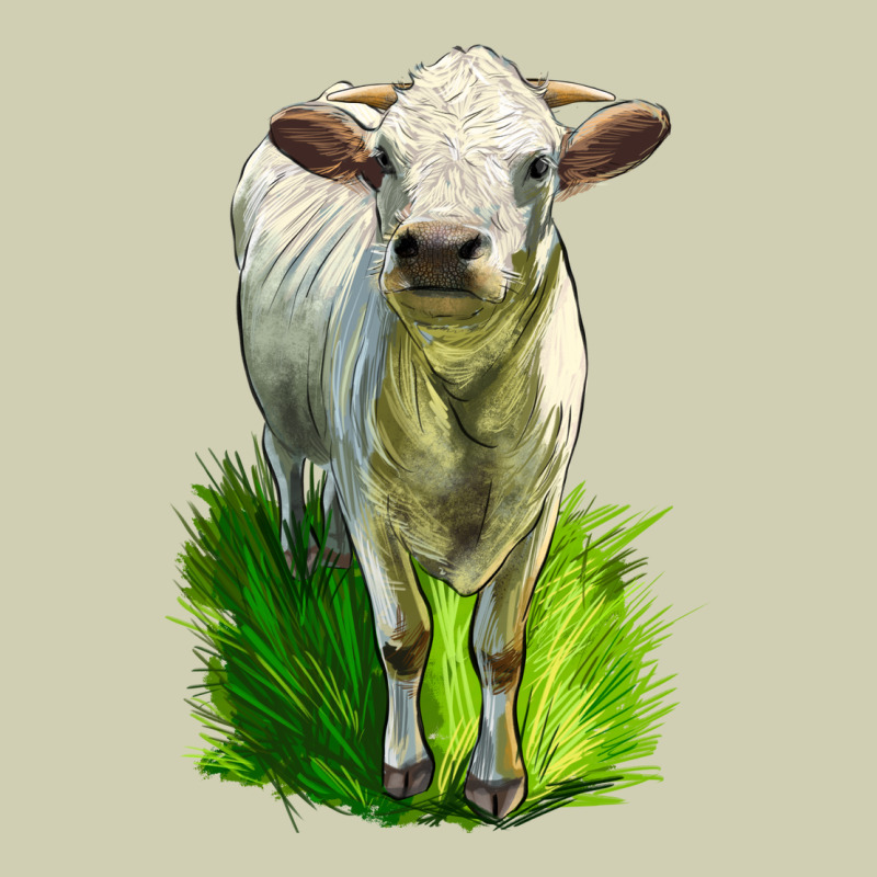 Charolais Heifer Heavy Core Tee by LillyAllenDesigns | Teevron