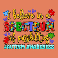 I Believe In A Spectrum Of Possibilities Classic Tee | Teevron