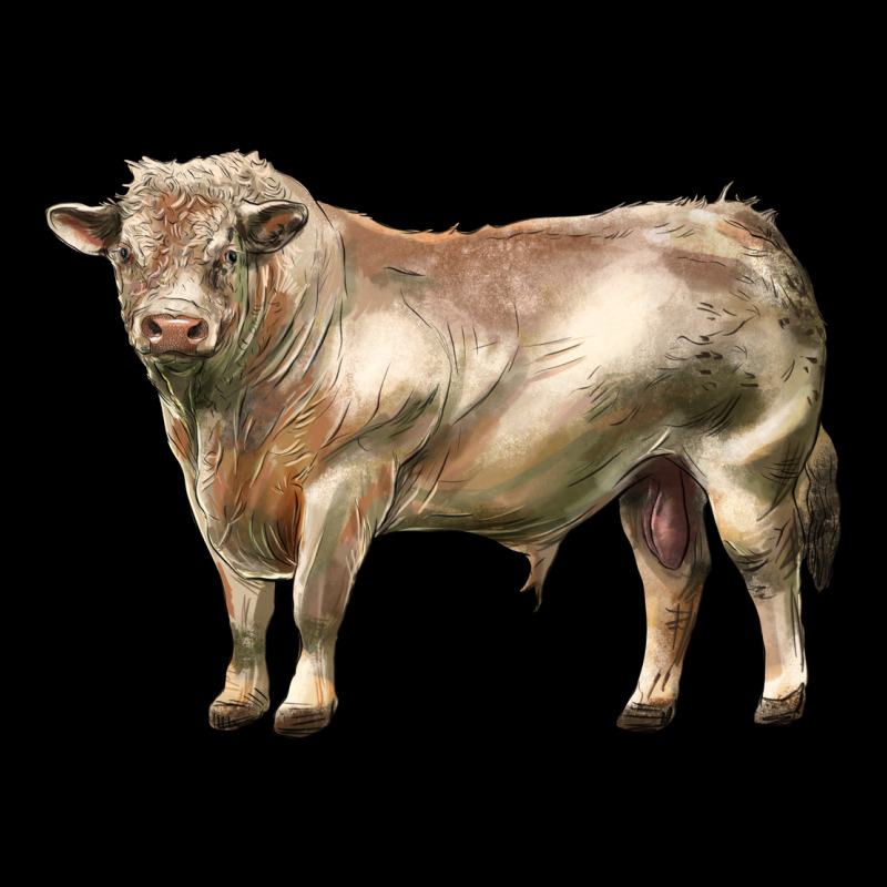Charolais Bull Heavy Core Tee by LillyAllenDesigns | Teevron