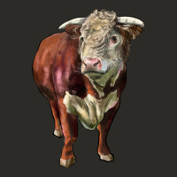 Hereford Bull Face Heavy Core Tee | Teevron