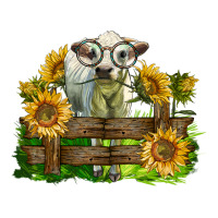 charolais heifer with sunflowers | Teevron