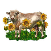 charolais bull with sunflowers | Teevron