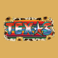 Texas Premium Hoodie | Teevron