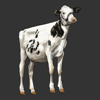 Holstein Heifer | Teevron