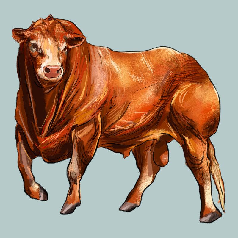 Red Angus Bull Heavy Core Tee by LillyAllenDesigns | Teevron