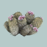 Cob Beehive Cactus Heavy Core Tee | Teevron