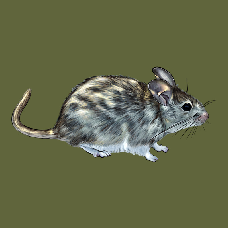 Packrat Aka, Woodrat Classic Tee by LillyAllenDesigns | Teevron