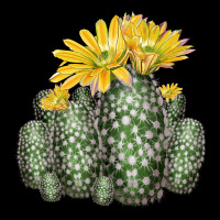 Texas Rainbow Cactus Heavy Core Tee | Teevron