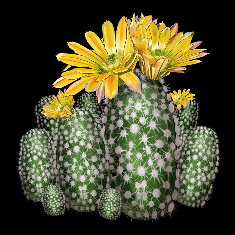 Texas Rainbow Cactus Heavy Core Tee by LillyAllenDesigns | Teevron