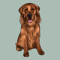 Labrador Classic Tee | Teevron