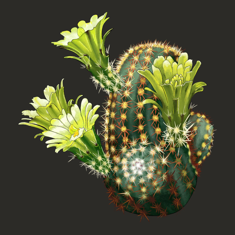 Nylon Hedgehog Cactus Heavy Core Tee by LillyAllenDesigns | Teevron