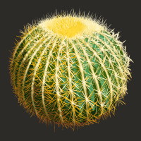 Golden Barrel Cactus Heavy Core Tee | Teevron