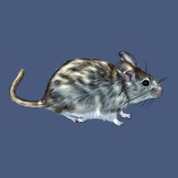 Packrat Aka, Woodrat Vintage Hoodie | Teevron