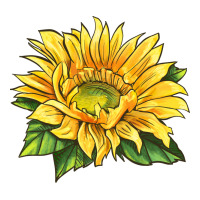 starburst greenburst sunflower | Teevron