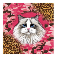 ragdoll cat | Teevron