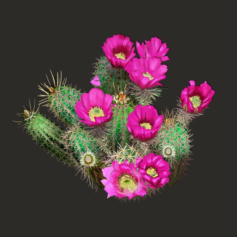 Strawberry Hedgehog Cactus Heavy Core Tee by LillyAllenDesigns | Teevron