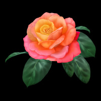 Chicago Peace Rose Heavy Core Tee | Teevron