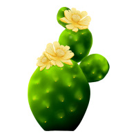texas cactus | Teevron