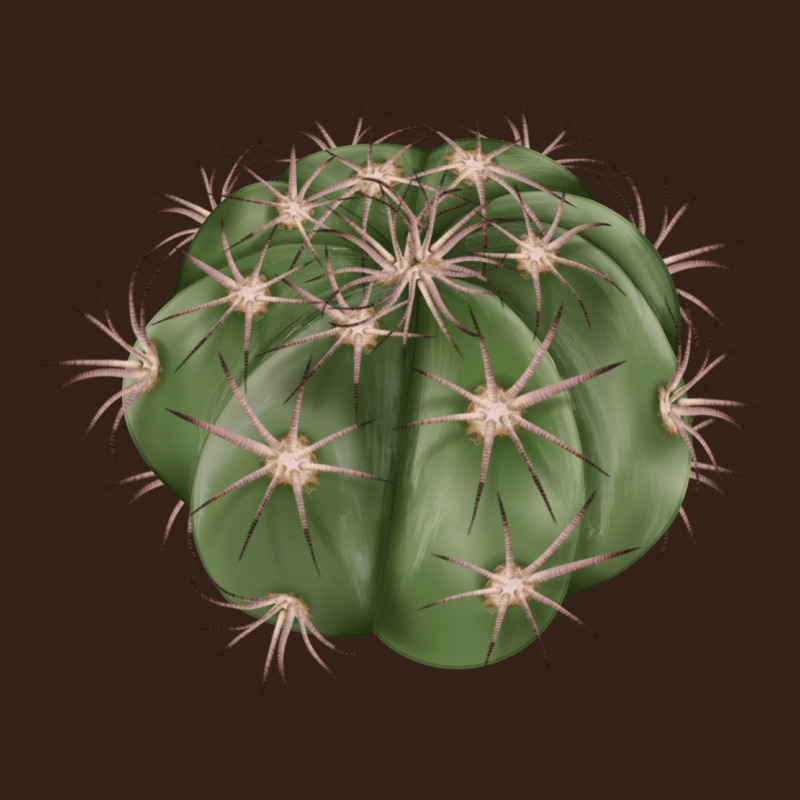 Eagle Claws Cactus Heavy Core Tee by LillyAllenDesigns | Teevron