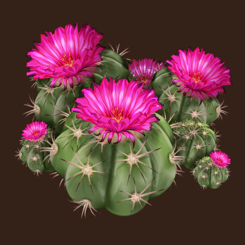 Eagle Claws Cacti Heavy Core Tee by LillyAllenDesigns | Teevron