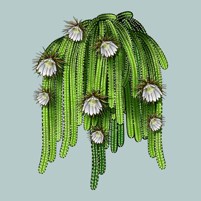 Selenicereus Cactus Heavy Core Tee by LillyAllenDesigns | Teevron