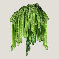 Selenicereus Cactus Heavy Core Tee | Teevron