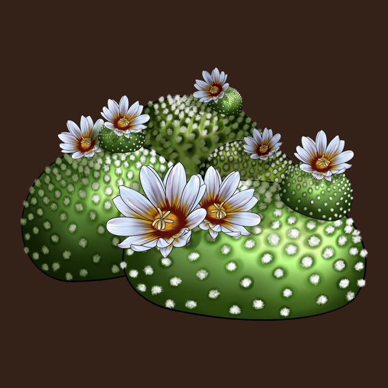 Blossfeldia Cactus Heavy Core Tee by LillyAllenDesigns | Teevron