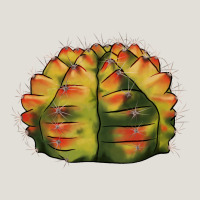 Gymnocalycium Variegated Cactus Heavy Core Tee | Teevron