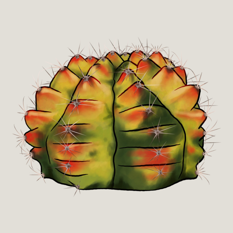 Gymnocalycium Variegated Cactus Heavy Core Tee by LillyAllenDesigns | Teevron