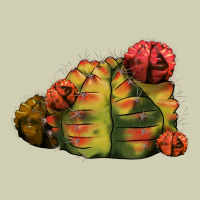 Gymnocalycium Variegated Cactus Heavy Core Tee | Teevron