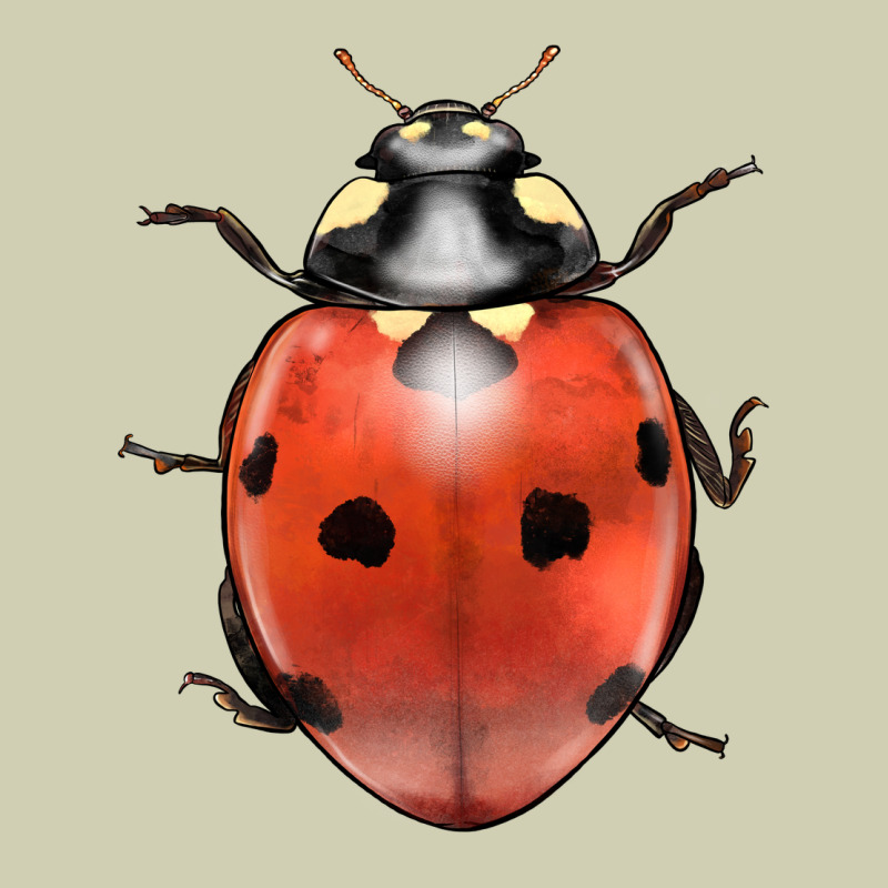 Lady Bug Heavy Core Tee by LillyAllenDesigns | Teevron