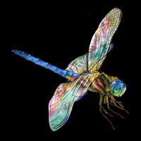 Dragon Fly Heavy Core Tee | Teevron