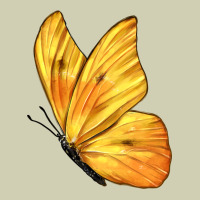 Flying Cloudless Sulphur Butterfly Heavy Core Tee | Teevron