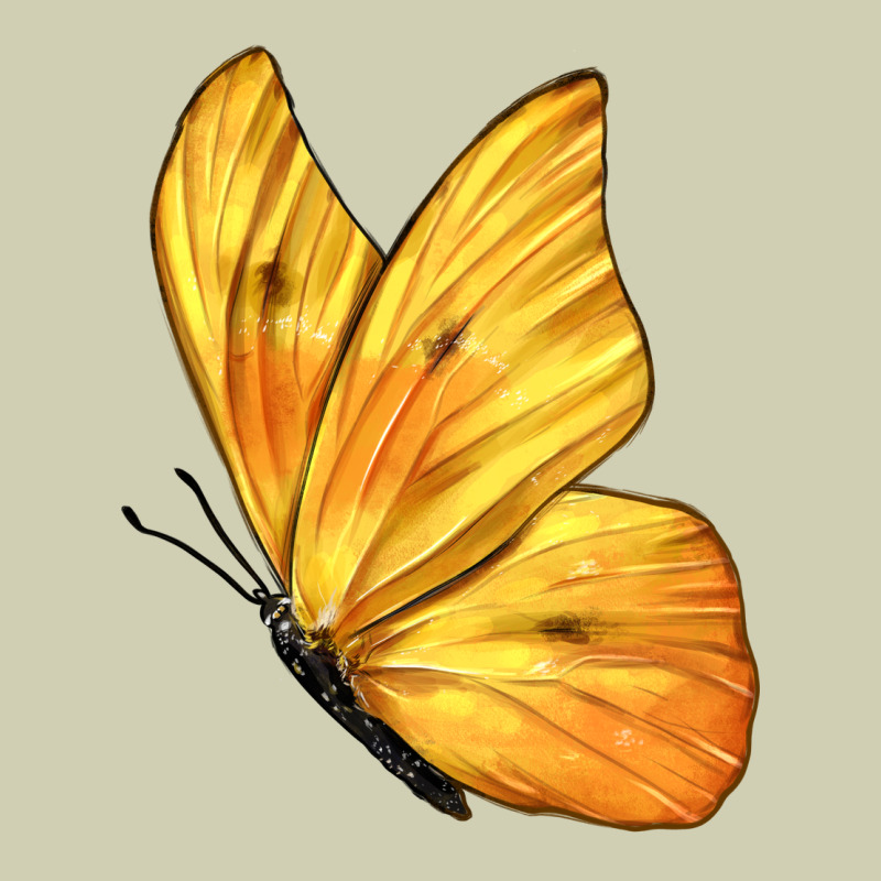 Flying Cloudless Sulphur Butterfly Heavy Core Tee by LillyAllenDesigns | Teevron