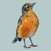 American Robin Bird Heavy Core Tee | Teevron