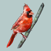 Northern Cardinal Bird Heavy Core Tee | Teevron