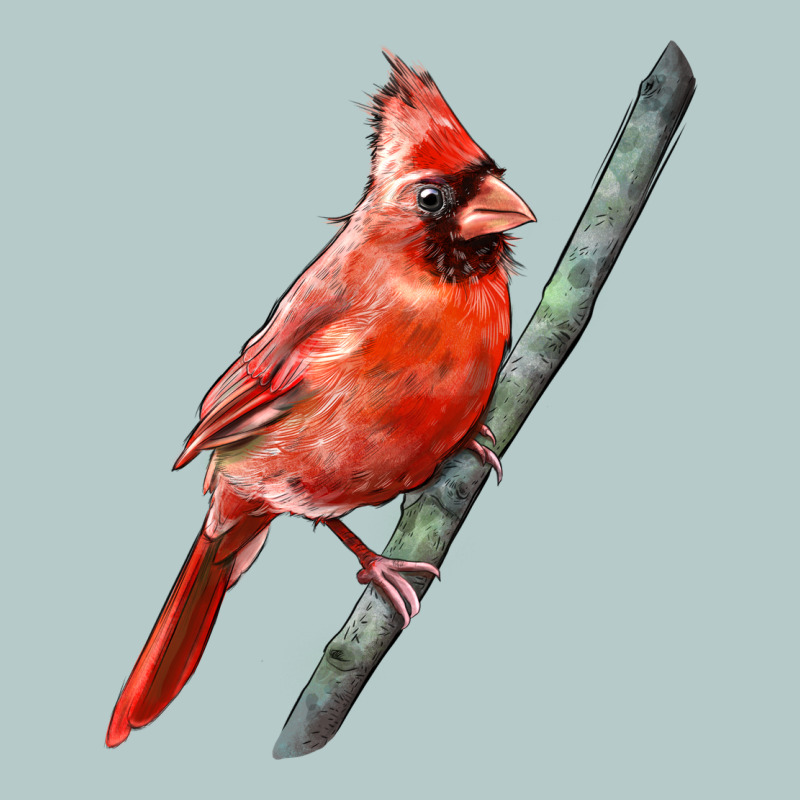 Northern Cardinal Bird Heavy Core Tee by LillyAllenDesigns | Teevron