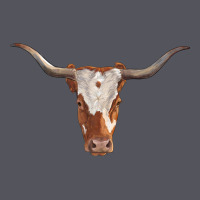 Longhorn Cow Head Vintage Hoodie | Teevron