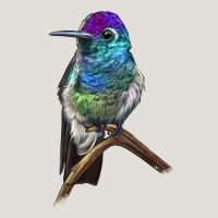 Rivoli`s Hummingbird Heavy Core Tee | Teevron