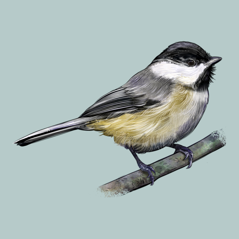 Black Capped Chickadee Heavy Core Tee by LillyAllenDesigns | Teevron