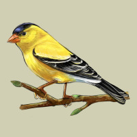 American Goldfinch Heavy Core Tee | Teevron